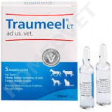 Heel Traumeel LT ad us. vet. against swelling, inflammation, Arthrities. homeopathy